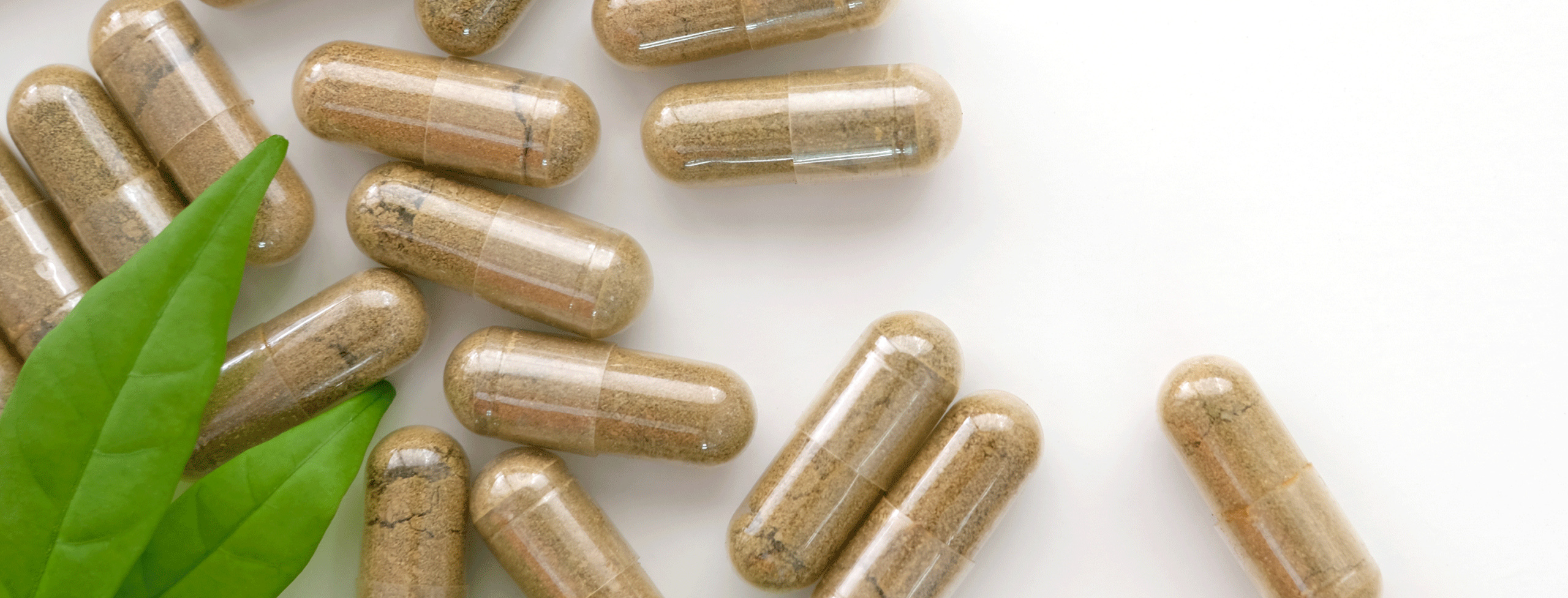 attività antibatterica del Lisozima - sistema immunitario