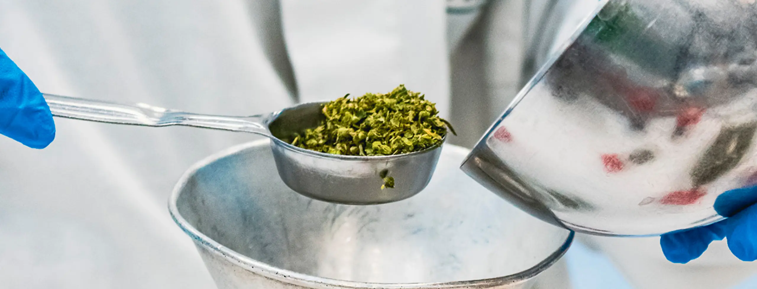 Cannabis e Cannabinoidi a uso terapeutico: benefici, applicazioni e normative