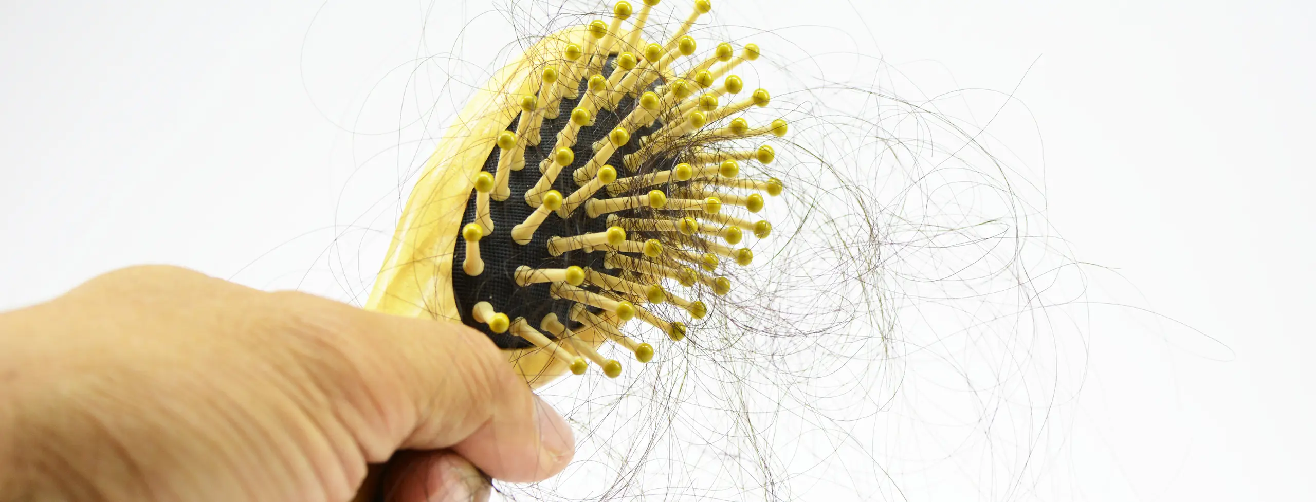 Rimedi contro la caduta dei capelli: analisi gratuita del capello con microcamera in farmacia a Bologna
